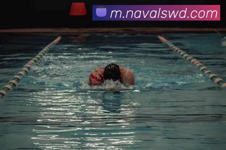 问鼎官网入口平台生态图